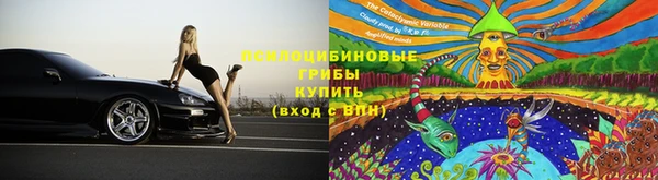 дмт Аркадак