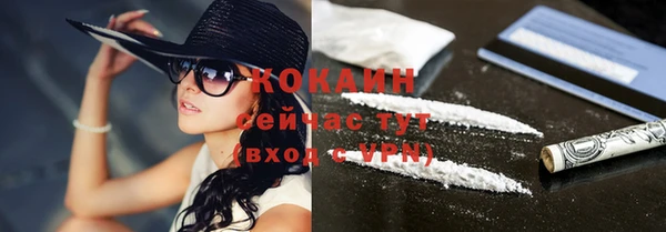 шишки Армянск