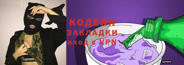 крисы Арсеньев