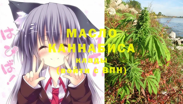 шишки Армянск