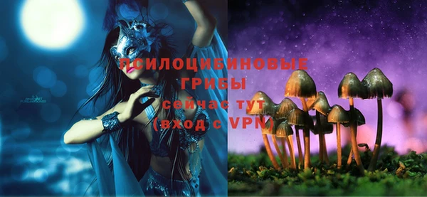 дмт Аркадак