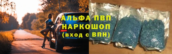 крисы Арсеньев